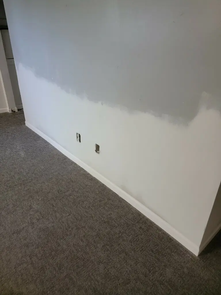 Basement Drywall Repair in Farmersville